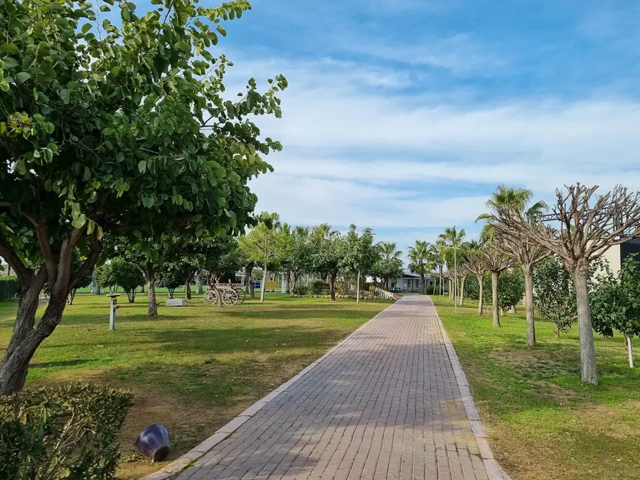 TUI Magic Life Jacaranda