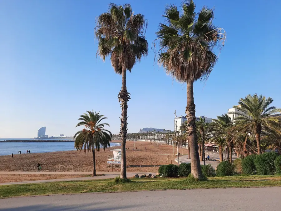 W Barcelona